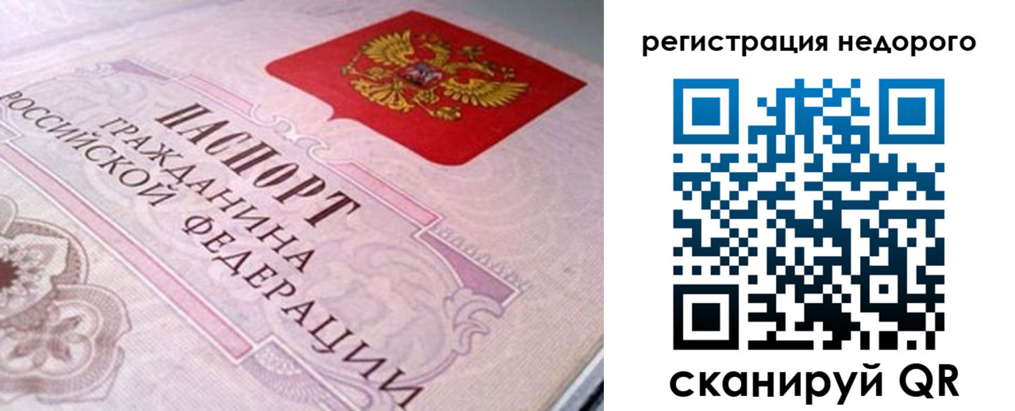 регистрация для дет. сада в Новозыбкове